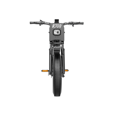 Deepower R700 off-road ebike front view with handlebar layout
