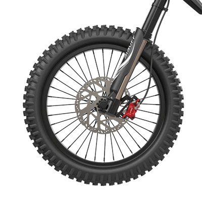 Deepower GT600 front knobby tire wheel and brake disc detail