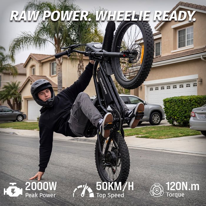 Deepower S21 high-performance off-road electric bicycle
