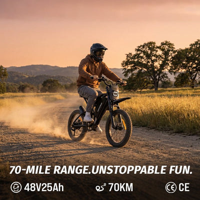 Deepower S21 versatile all-road electric ebike