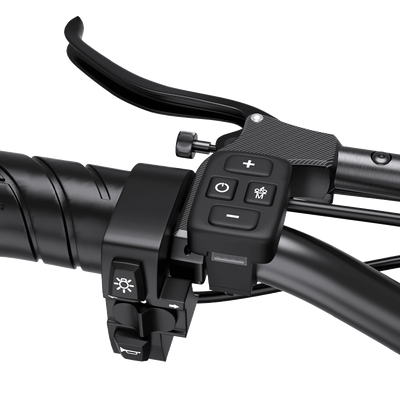 Deepower® S8丨 Dual‑Battery Dual‑Motor Hunting and Touring